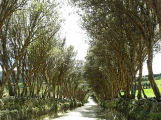 Paisaje_Cajamarca4