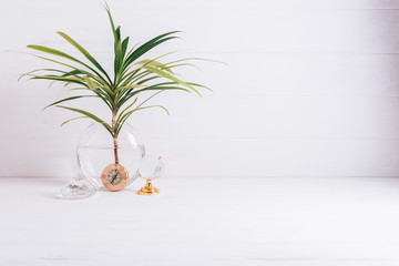 A branch of palm tree in a round glass vase on a white background