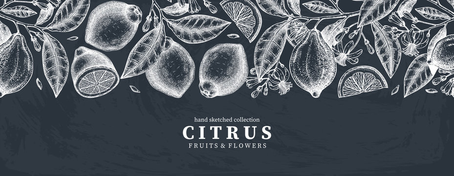 Ink hand drawn citrus fruits banner design on chalkboard. Vector lemons background with fruits, flowers, seeds, leaves sketches. Perfect for banners, menu, invitations, prints. 