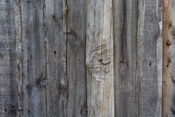 Old wood texture of gray color. Texture, background