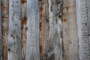 Old wood texture of gray color. Texture, background