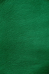 Leather. Green. Gradient. The structure of the skin material close-up.