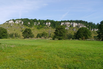 Wiese mit Blick auf Kalkfelsen