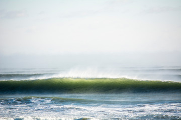 Fototapeta premium Green Wave