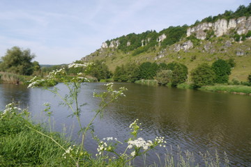 Schafgarbe im Naturschutzgebiet am Eichenberg in Kallmünz