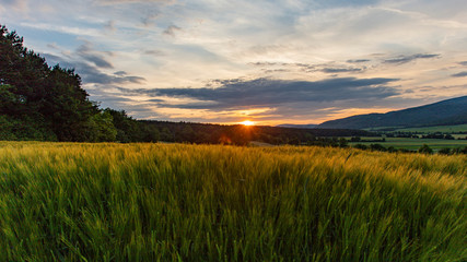 Fototapeta na wymiar sunset over the green valley