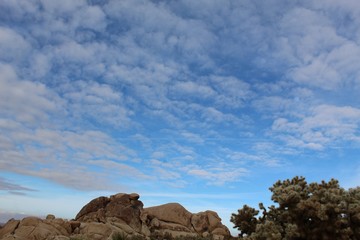 Towards the end of Indian Cove Trail in Joshua Tree National Park, clouds form peaceful patterns in the sky above native plants of the Southern Mojave Desert.