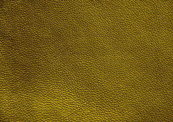 Leather. Green. Gradient. The structure of the skin material close-up.