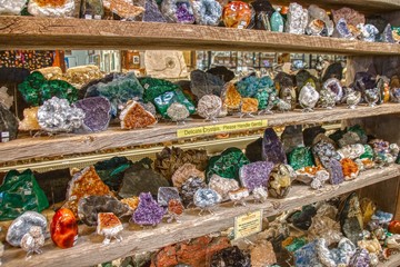 Variety of fossils and minerals for sale at a store