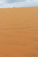 beautiful sand pattern