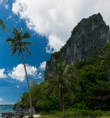 Fototapeta na wymiar tropical island in Philippines