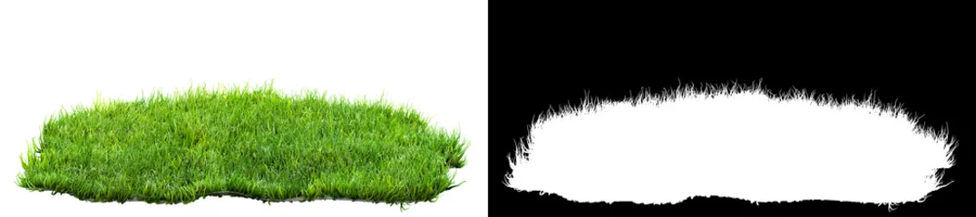 Fotobehang groen gras gras geïsoleerd op een witte achtergrond met alpha masker voor gemakkelijke isolatie 3D illustratie © andreusK