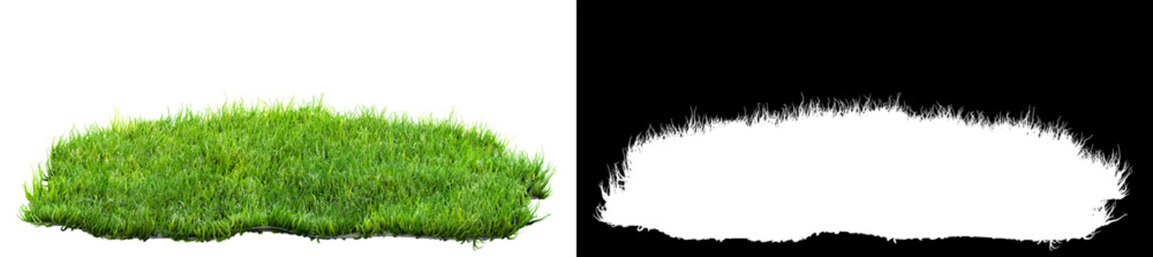 green grass turf isolated on white background with alpha mask for easy isolation 3D illustration © andreusK
