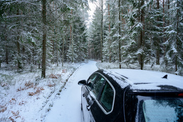Driving in the snowy forest