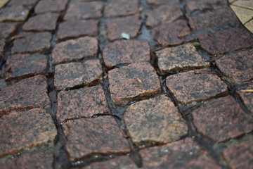 texture of stone wall