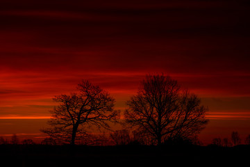 Dramatic after sunset with two trees
