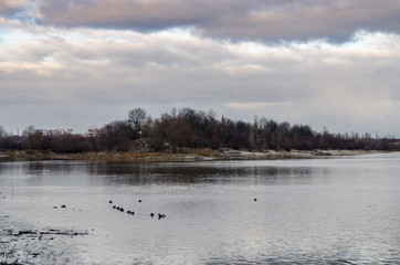 Landscape