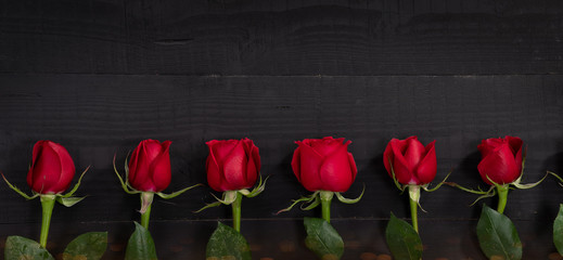 Fototapeta na wymiar Valentine greeting card. Six roses on black table