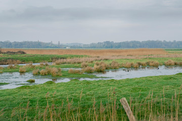 Fields around Hastings and Rye