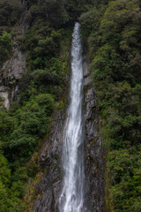 Fototapeta na wymiar Thunder Creek Falls. Haast Makarora Pass Highway. South Island New Zealand. River and rocks