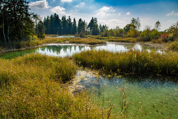 Quellseen im Wurzacher Ried bei Haidgau in Oberschaben