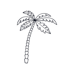 Obraz premium palm tree on white background. eps 10 vector stock illustration.