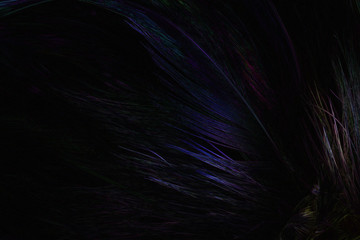 Abstract  art of beautiful paint of feather for texture background and design,Colorful and fancy colored