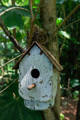 Bird house on the tree