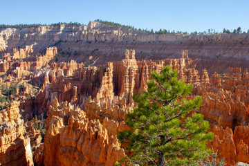 canyon et désert américain