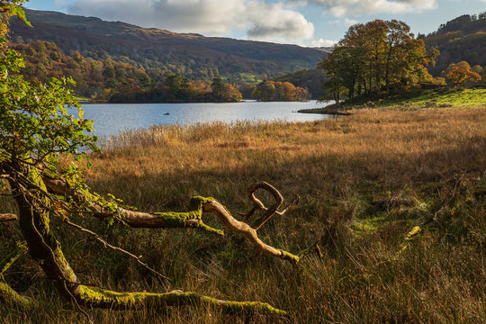 Rydal Water in autumn