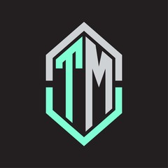 TM Logo monogram with hexagon shape and outline slice style