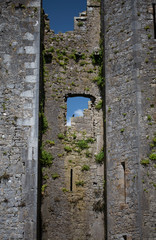 Fototapeta premium Rock of Cashel - St. Patrick's Rock - in Ireland