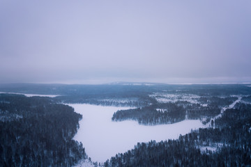 Fototapeta na wymiar panoramic view of a lake