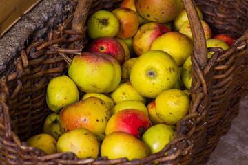 Äpfel im Weidekorb