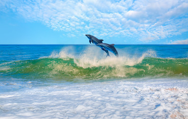 Two dolphins swimming and jumping in the wavy sea