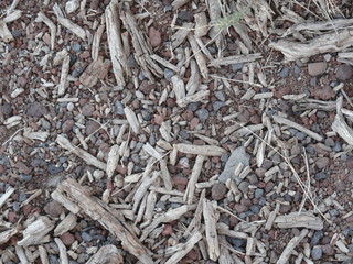 background pebbles and dry sticks on the ground close up
