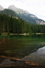 Fototapeta premium W jeziorze odbija się las i góry.