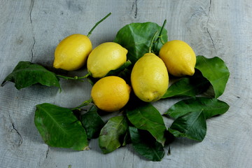 Fresh juicy fruit lemon on a wooden background with leaves. Lemon with leaves on wooden background 