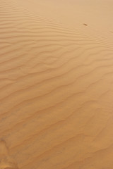 beautiful sand pattern