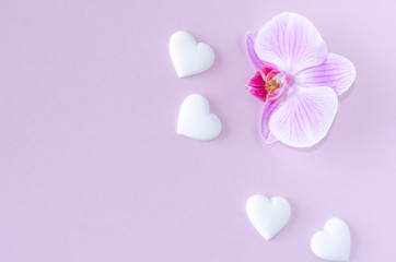 orchid flower and white hearts on a pink background. Valentine's day and romantic concept. Flat lay. Copy space.