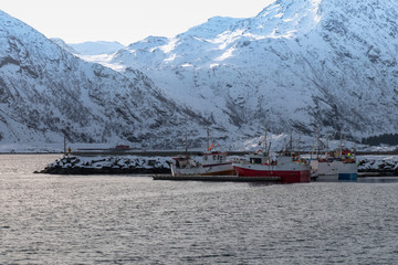 Docks in the harbor in the bay of Lofoten Island during the winter