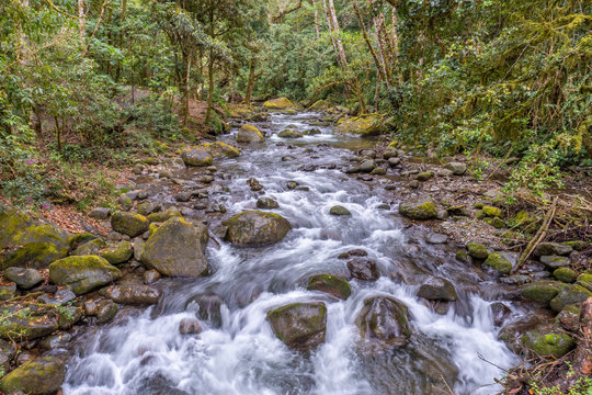 Costa Rica. Small river in the Los Quetzales National Park (Spanish: Parque Nacional Los Quetzales).