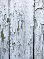 White wood fiber background, texture of old painted wood. sun shines