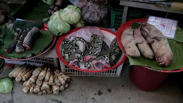 Fresh chopped snake and water rats ingredients on Laos outdoor street food market.