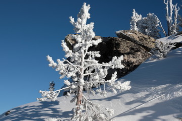 Heavenly Valley, Ski Resort at South Lake Tahoe © Dipali S