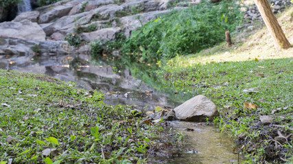 A small stone that blocked water Around there is grass.