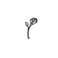 Single hand drawn rose, Isolated on white background. Doodle vector illustration.