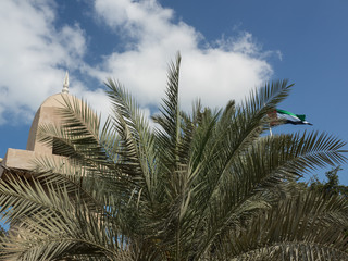Abu dhabi in emiraten
