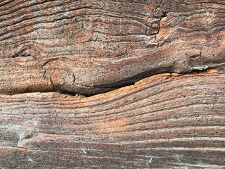 Aged wood texture, cutaway wood background, fibers