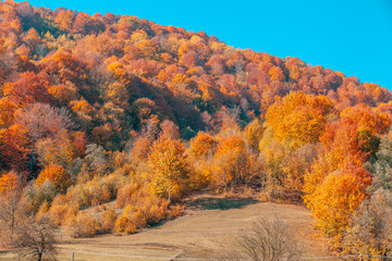 Fototapeta premium Autumn in the mountains. View of the mountains in autumn. Beautiful nature landscape. Carpathian mountains. Bukovel, Ukraine